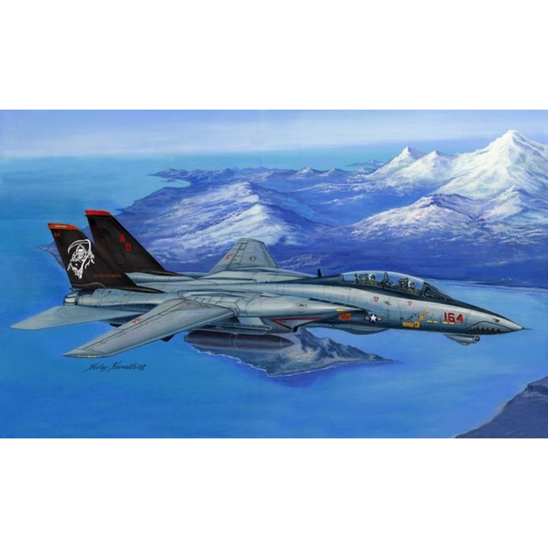 Hobbyboss 1:48 F-14D Super Tomcat
