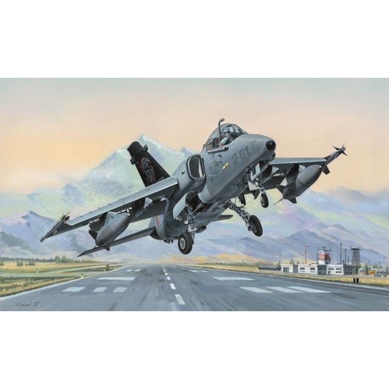 Hobbyboss 1:48 Amx Ground Attack *