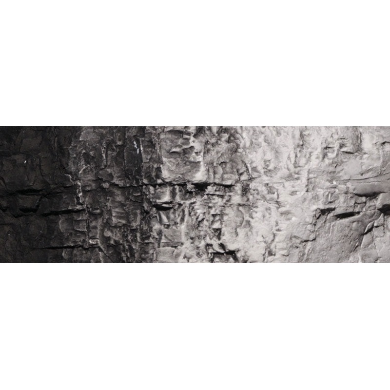 Woodland Scenics Black Terrain Paint 4 Oz *