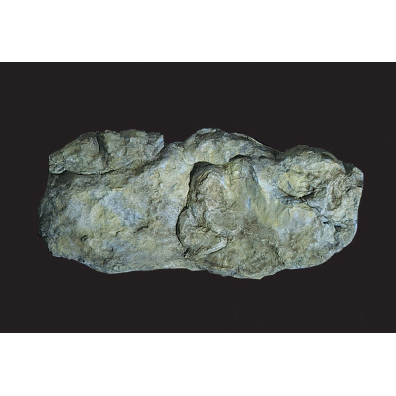 Woodland Scenics Rock Mold-Washd Rock(101/2X5)