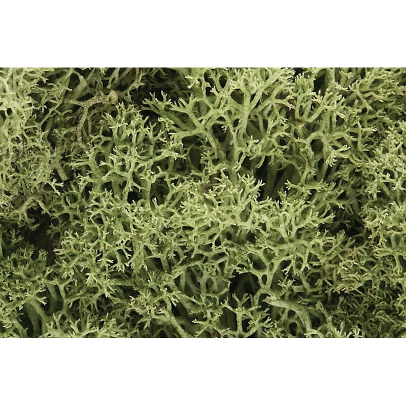 Woodland Scenics Spring Green Lichen