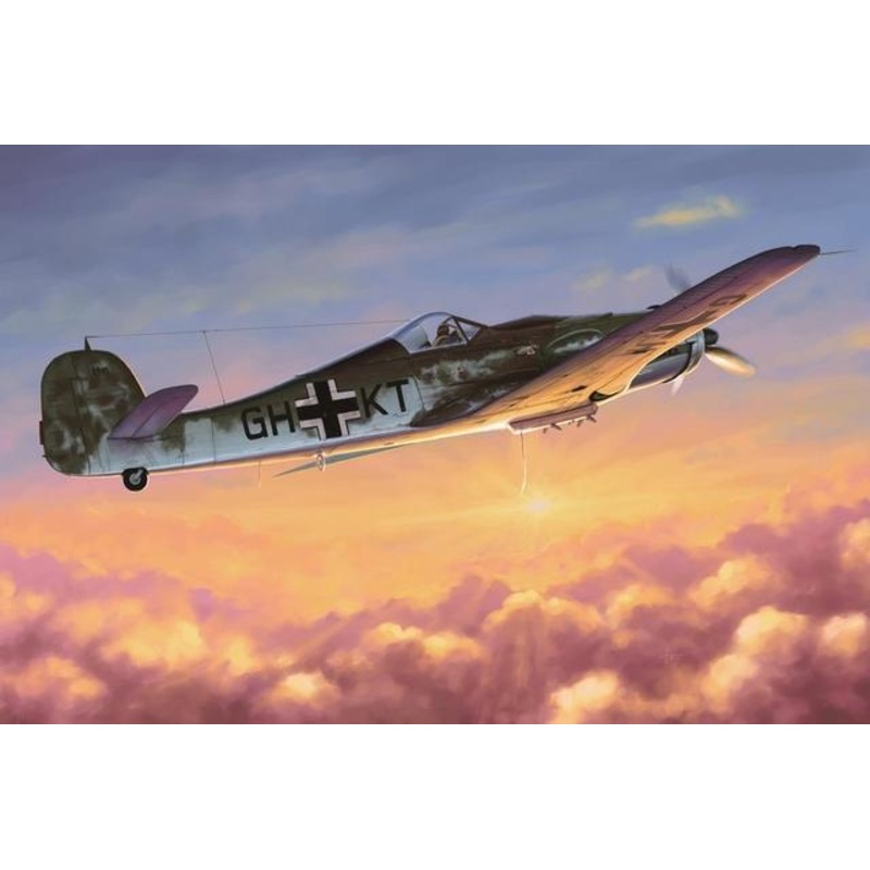Hobbyboss 1:48 Focke-Wulf Fw190D-10
