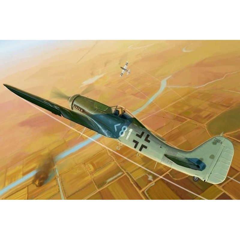 Hobbyboss 1:48 Focke-Wulf Fw190D-11