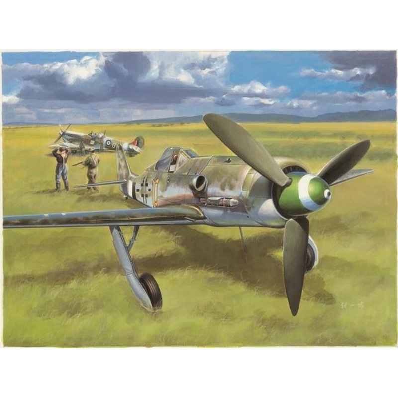 Hobbyboss 1:48 Focke-Wulf Fw190D-13