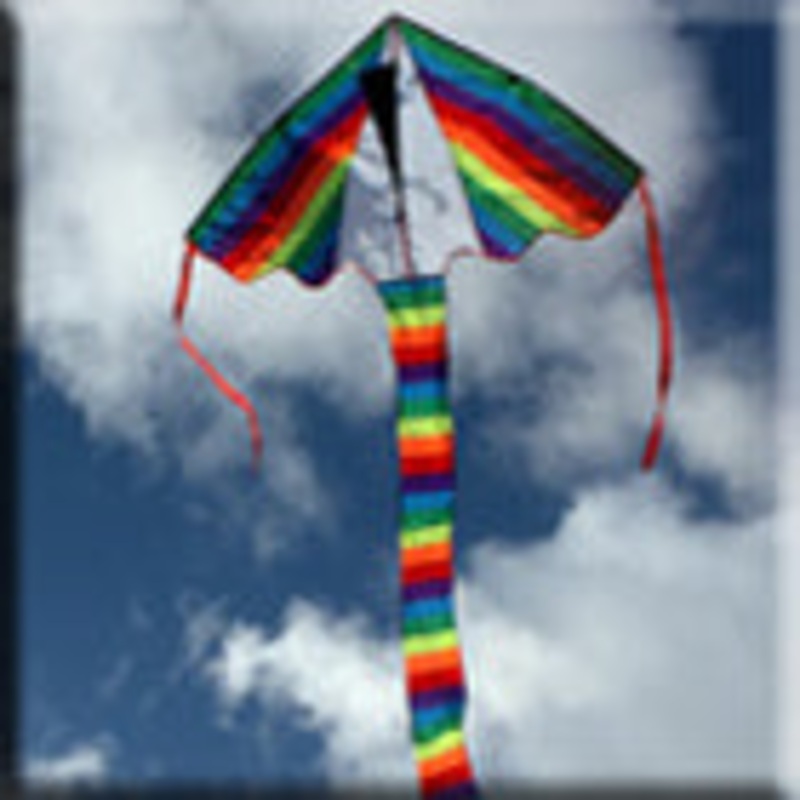 Kites Kite Double Delta – 1.3 Metre Wingspan