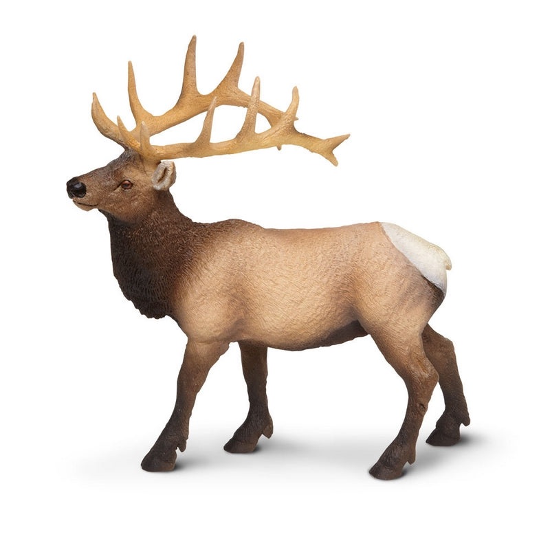 Safari Ltd Elk Bull
