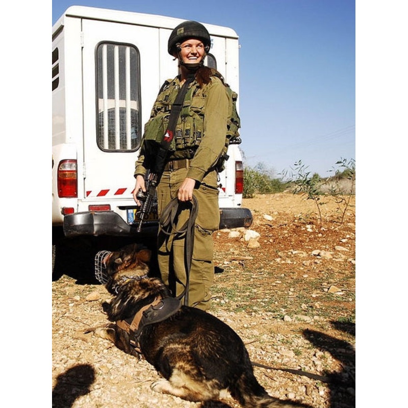 ICM 1:16 Idf K-9 Unitz Oketz