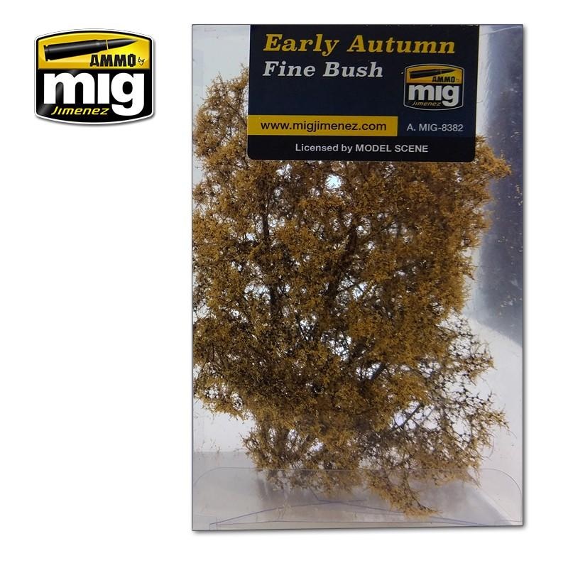 Ammo Fine Bush – Early Autumn