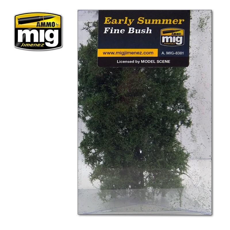 Ammo Fine Bush – Early Summer