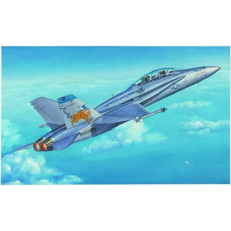 Hobbyboss 1:48 F/A -18D Hornet