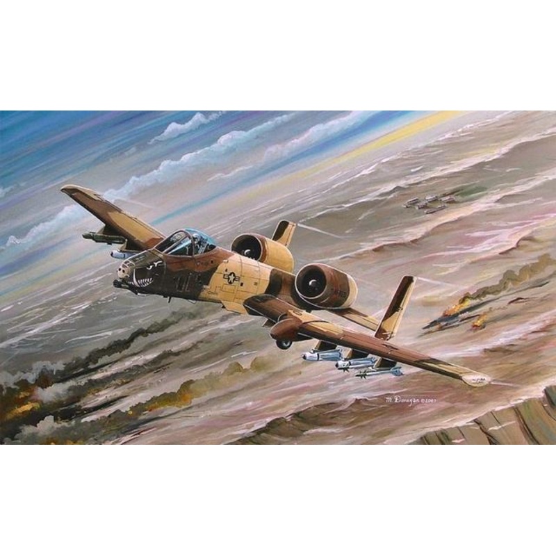 Hobbyboss 1:72 A-10A Thunderbolt