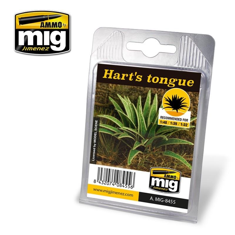 Ammo Hart’s Tongue Plant