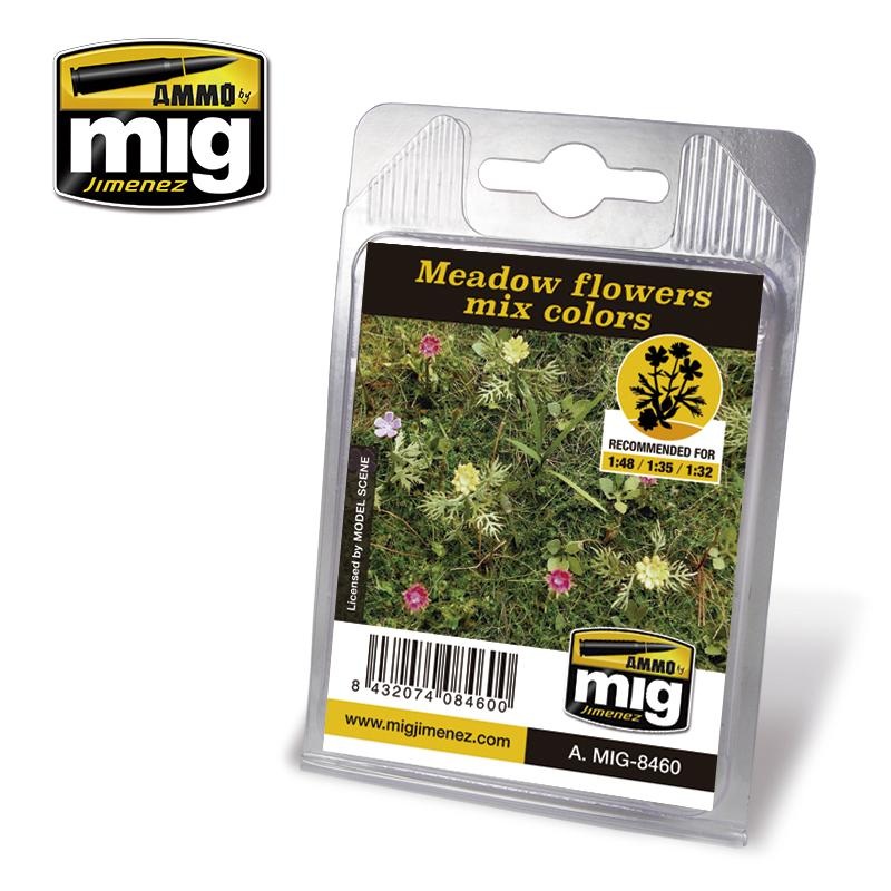 Ammo Meadow Flowers Mix Colours Plant