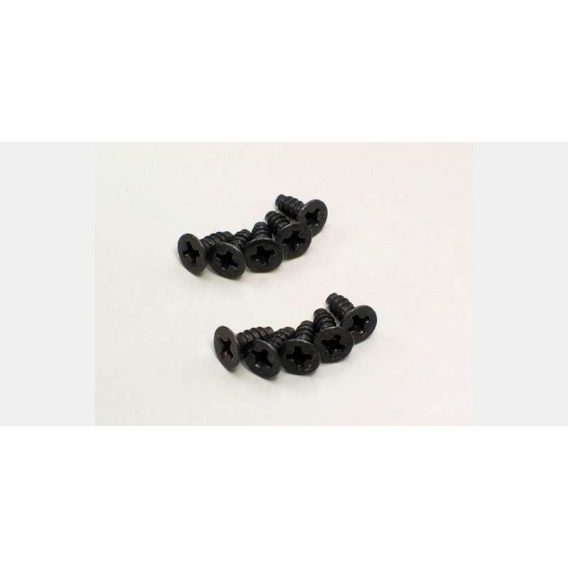 TP FH Screw (M3x10)(10)