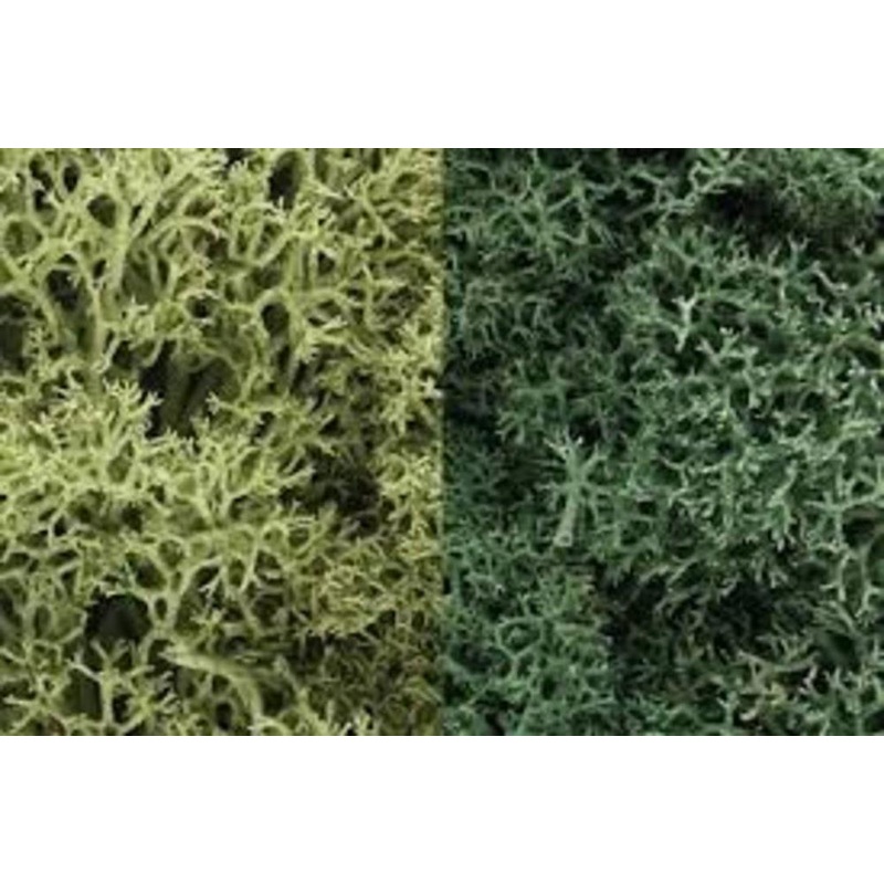 Woodland Scenics L167 LICHEN LIGHT GREEN MIX