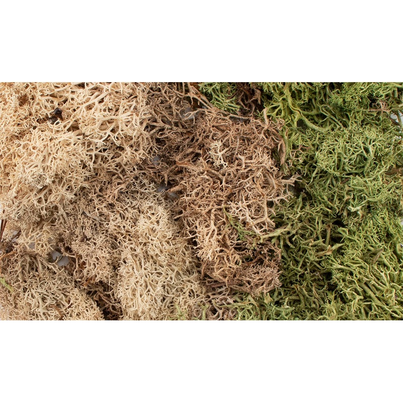 Woodland Scenics G6500 Winter Mix EZ Bushes All Game Terrain