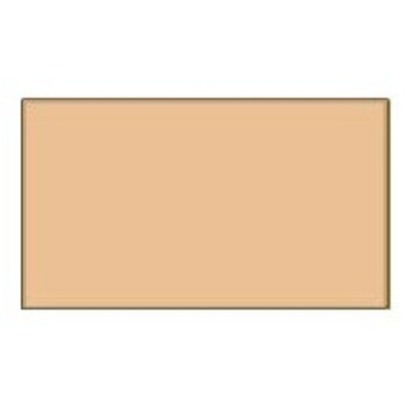 LifeColor UA408 Light Brown 22ml Acrylic Paint