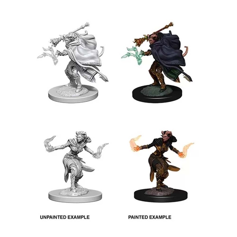 WizKids 73389 D&D Nolzurs Marvelous Miniatures: Female Tiefling Warlock