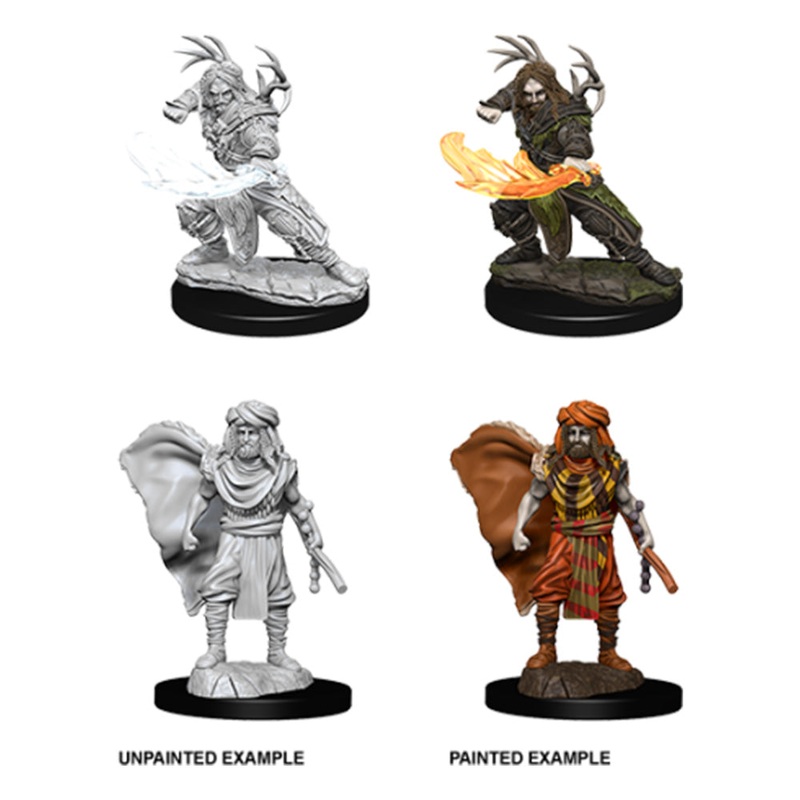 WizKids 73390 D&D Nolzurs Marvelous Miniatures: Male Human Druid