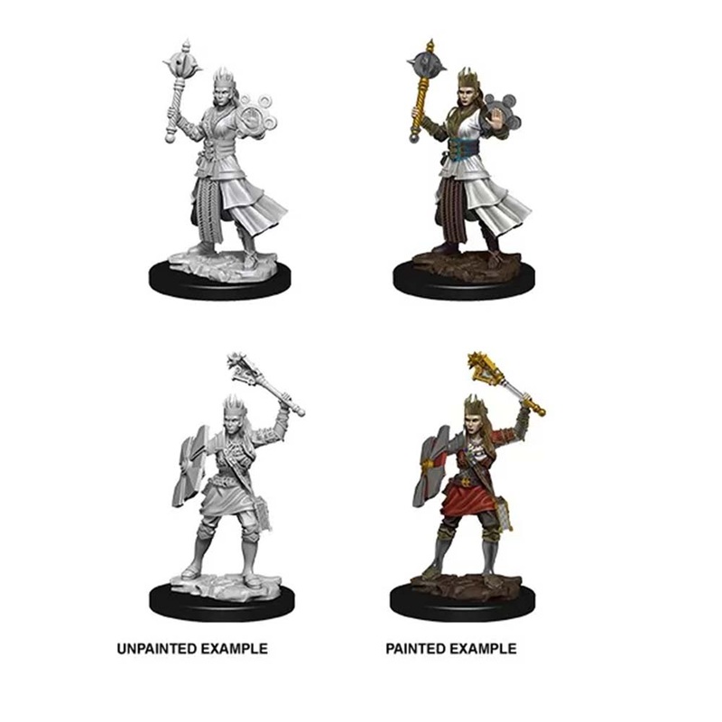 WizKids 73671 D&D Nolzurs Marvelous Miniatures Female Human Cleric