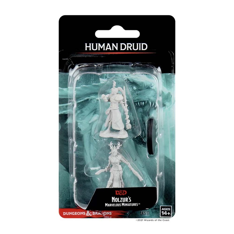 WizKids 73701 D&D Nolzurs Marvelous Miniatures Female Human Druid