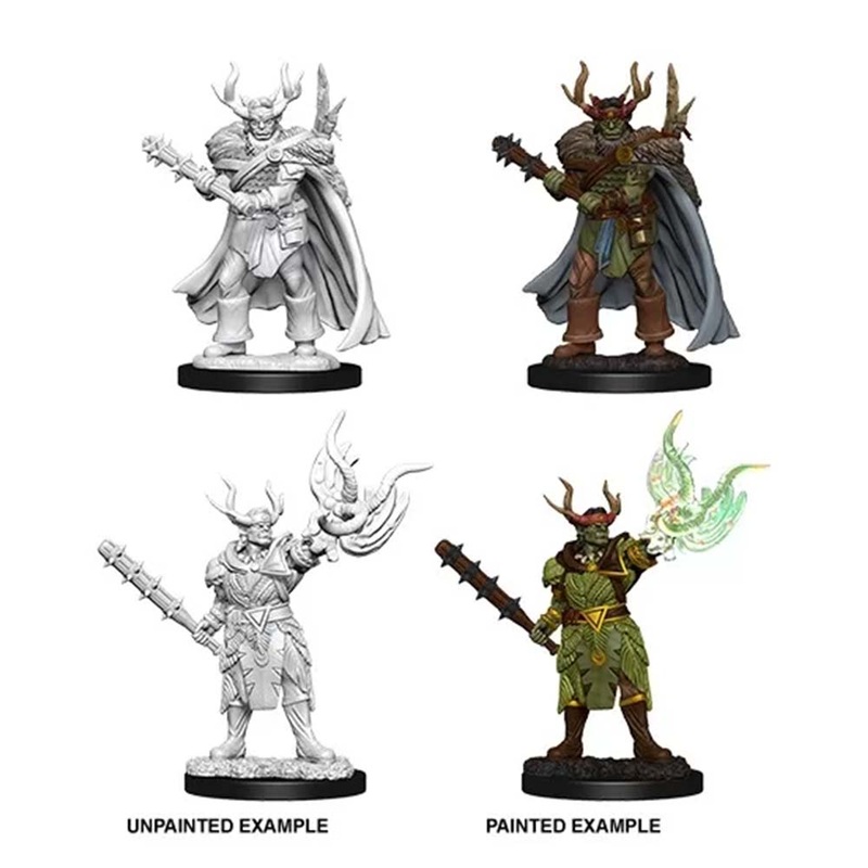 WizKids 73853 Pathfinder Deep Cuts Male Half-Orc Druid