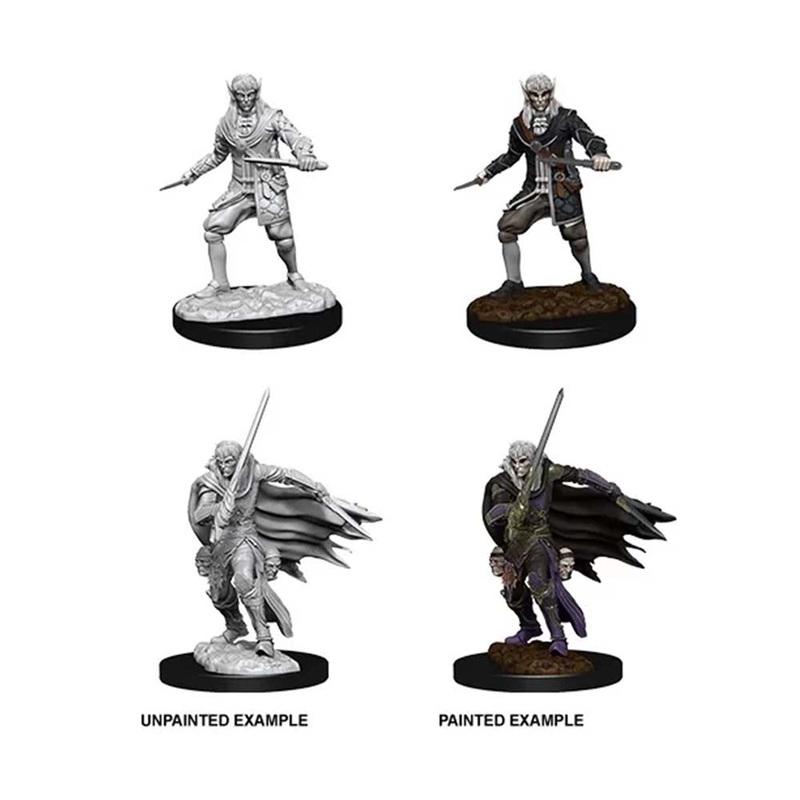 WizKids 73854 Pathfinder Deep Cuts Male Elf Rogue