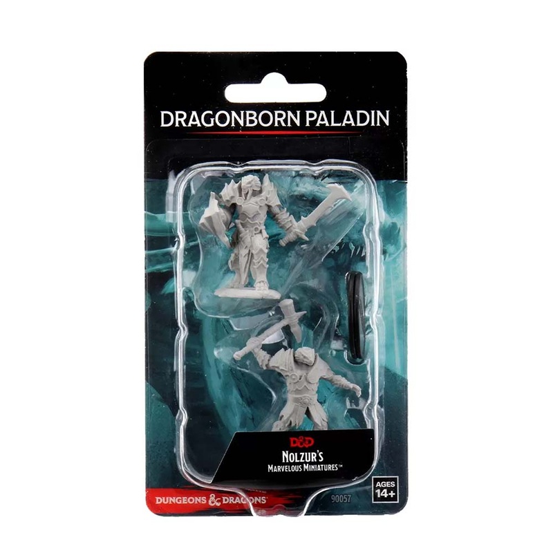 WizKids 90057 D&D Nolzurs Marvelous Miniatures: Male Dragonborn Paladin