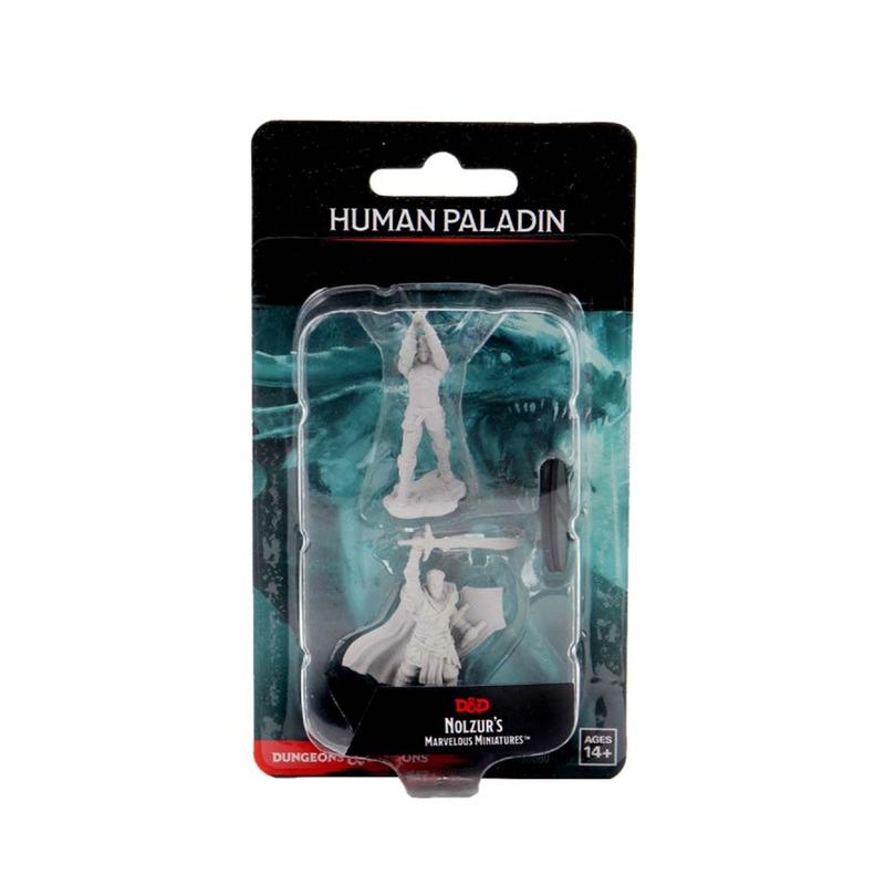 WizKids 90060 D&D Nolzurs Marvelous Miniatures: Male Human Paladin