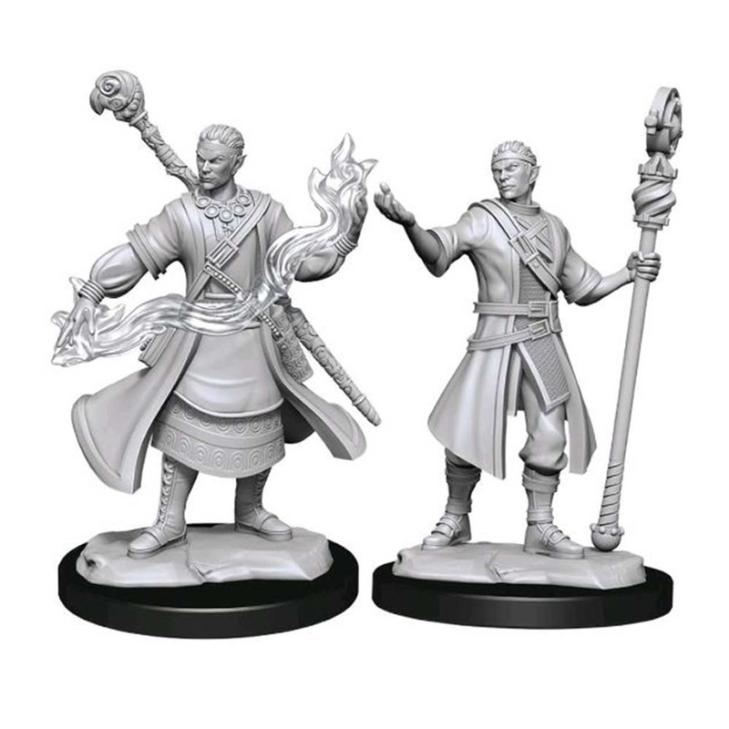 WizKids 90230 D&D Nolzurs Marvelous Miniatures: Half-Elf Paladin Male