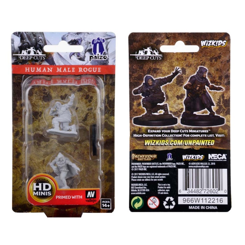 WizKids 72602 Pathfinder Deep Cuts: Human Male Rogue