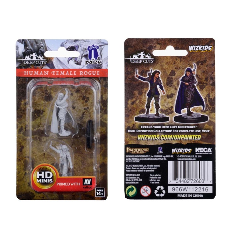WizKids 72603 Pathfinder Deep Cuts Unpainted Miniature: Human Fe