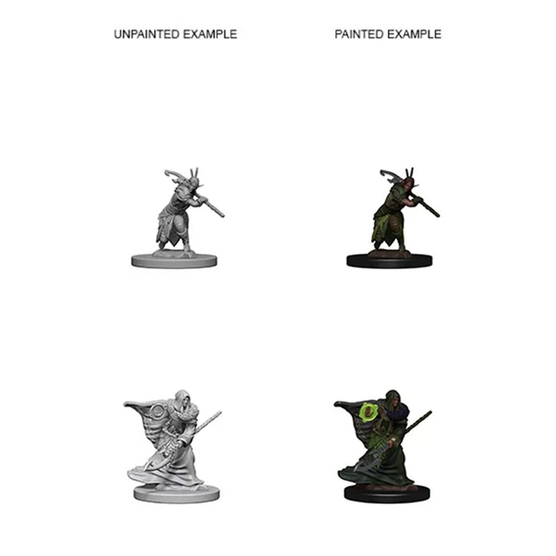 WizKids 72641 D&D Nolzurs Marvelous Miniatures: Elf Male Druid
