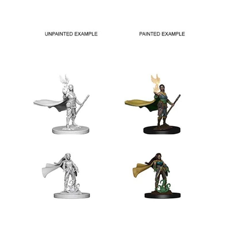 WizKids 72642 D&D Nolzurs Marvelous Miniatures: Elf Female Druid