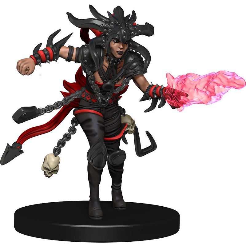 WizKids 73116 D&D Icons of the Realms: Guildmasters Guide to Ravnica Companion Starter Two