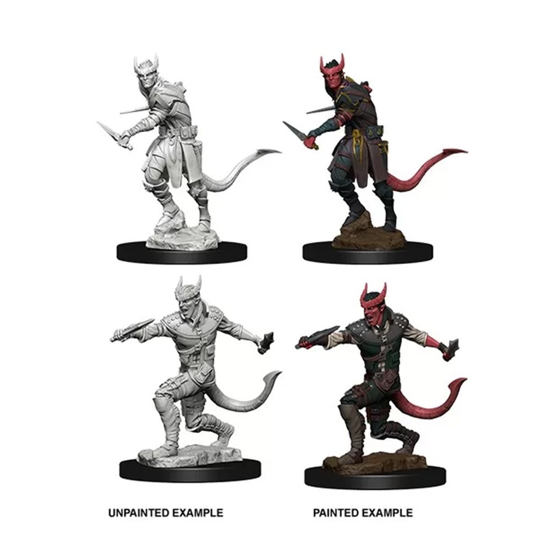 WizKids 73338 D&D Nolzurs Marvelous Miniatures Male Tiefling Rogue