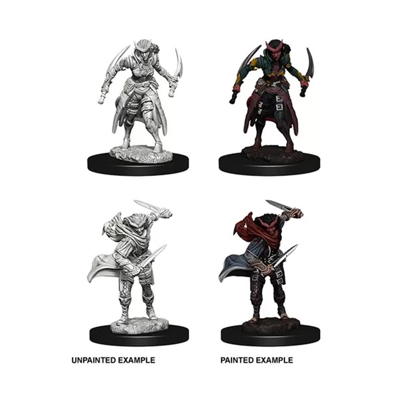 WizKids 73339 D&D Nolzurs Marvelous Miniatures Female Tiefling Rogue