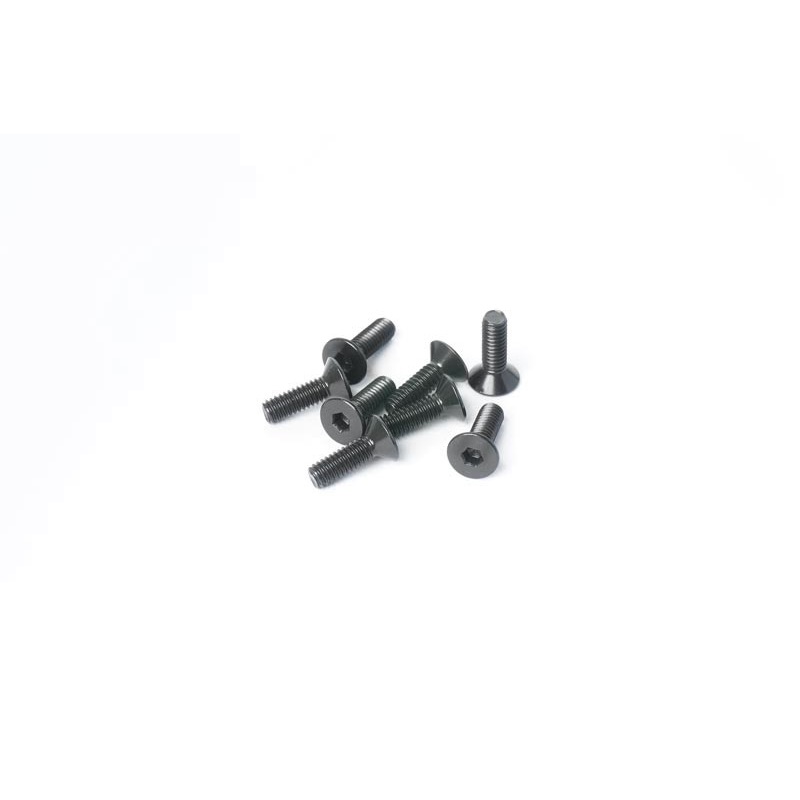 Koswork KOSFS2508 2.5x8mm Flat Head Hex Hardened Steel Screw (w/container) (8)