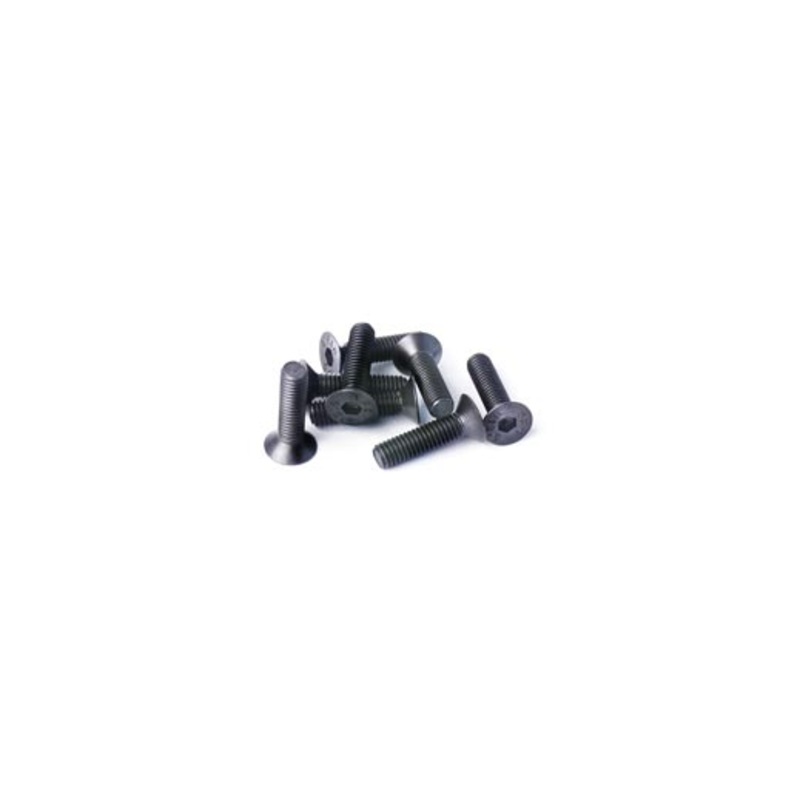 Koswork KOSFS312 3x12mm Flat Head Hex Hardened Steel Screw (w/container) (8)