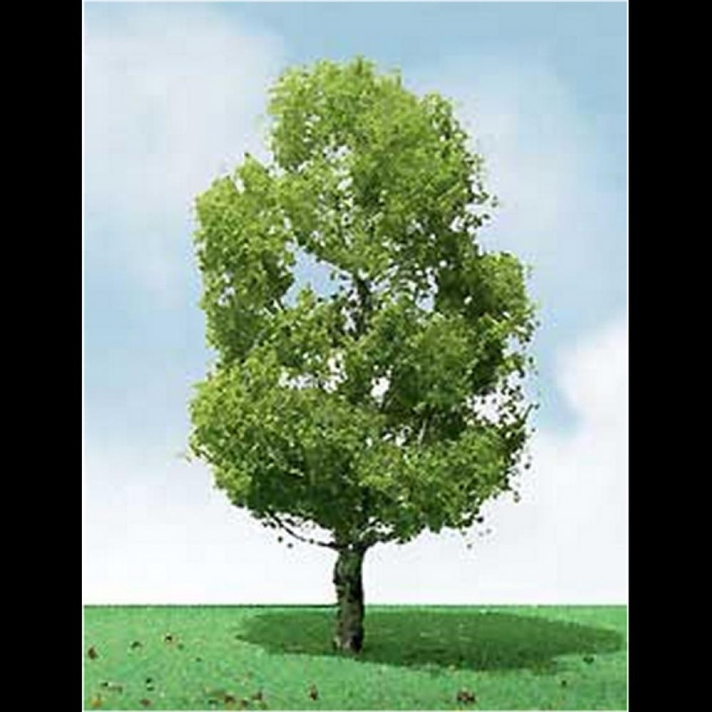 cJTT Scenery 92309 85-100mm Birch (2)