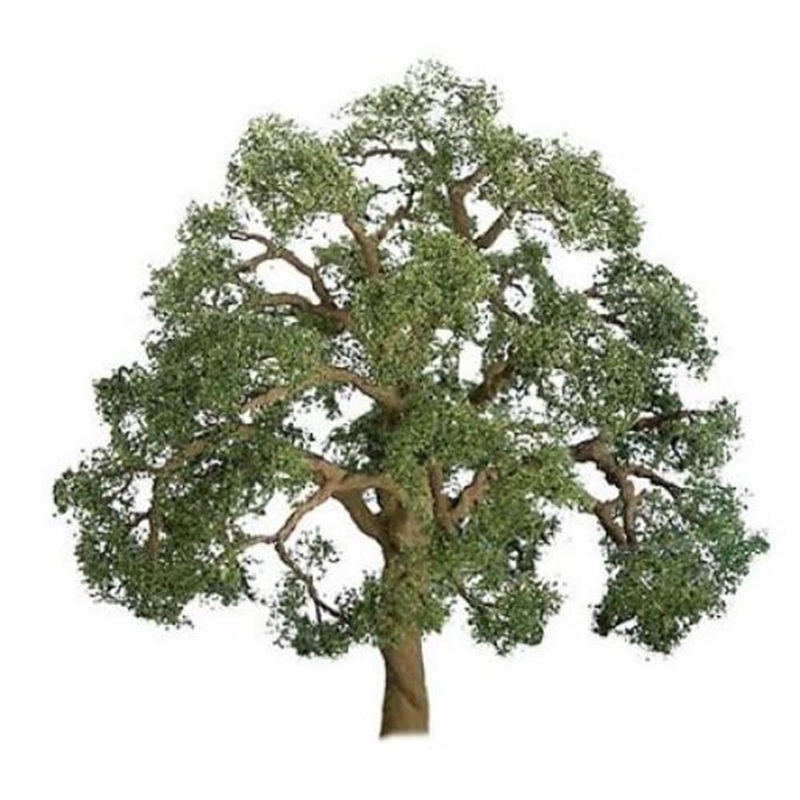 cJTT Scenery 96043 Professional Series: 5 (12.7mm) Live Oak Tree (1pk)