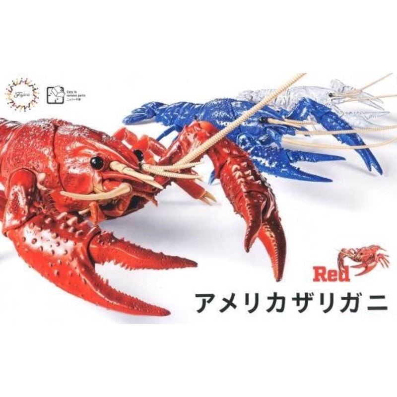 Fujimi 171401 Biology: Crayfish Red